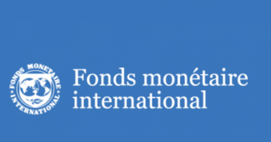 Fonds monétaire international (FMI)