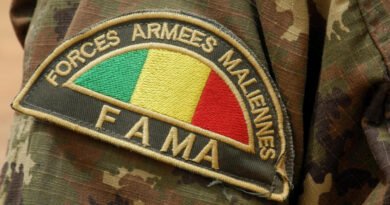 armée malienne